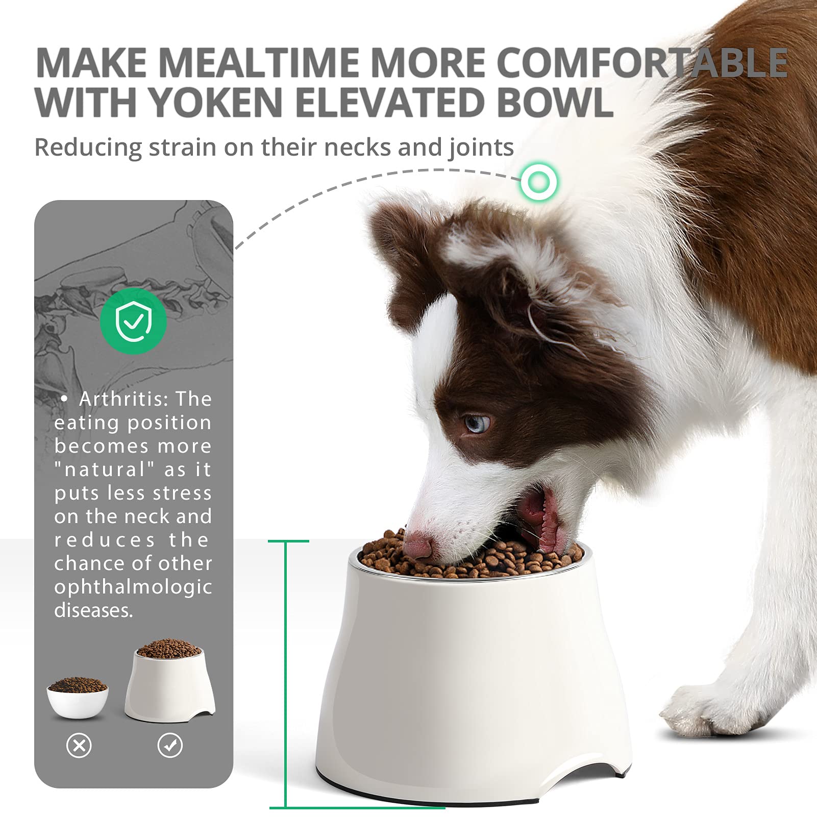 iPower Yoken plato elevado con agarre ergonómico, cómodo al comer.