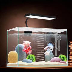 iPriro acuario nano de 3 galones con Betta, ideal para dos Bettas en espacio compacto.