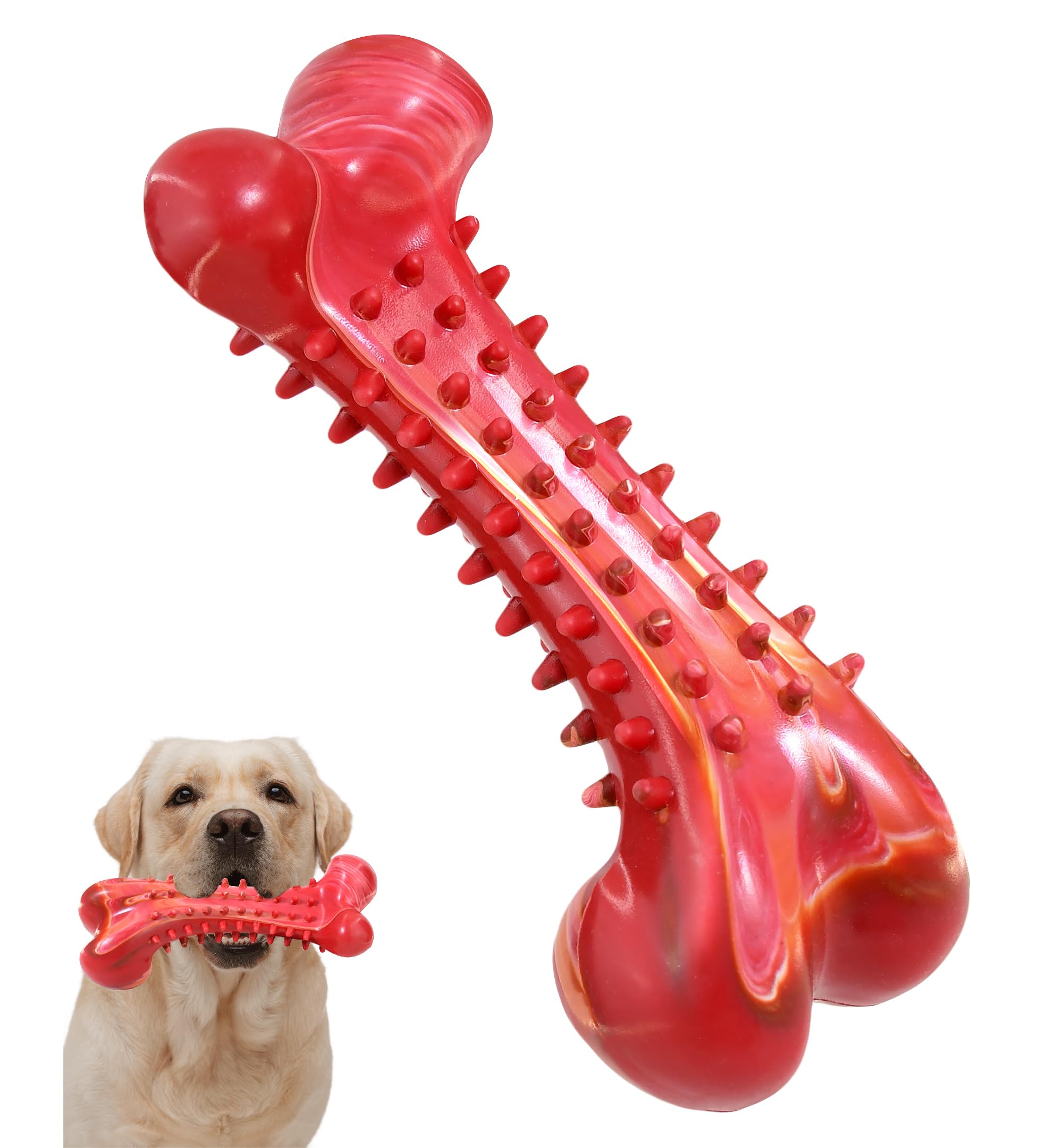 IPTPAS Juguete masticar para perro: hueso natural resistente para morder.