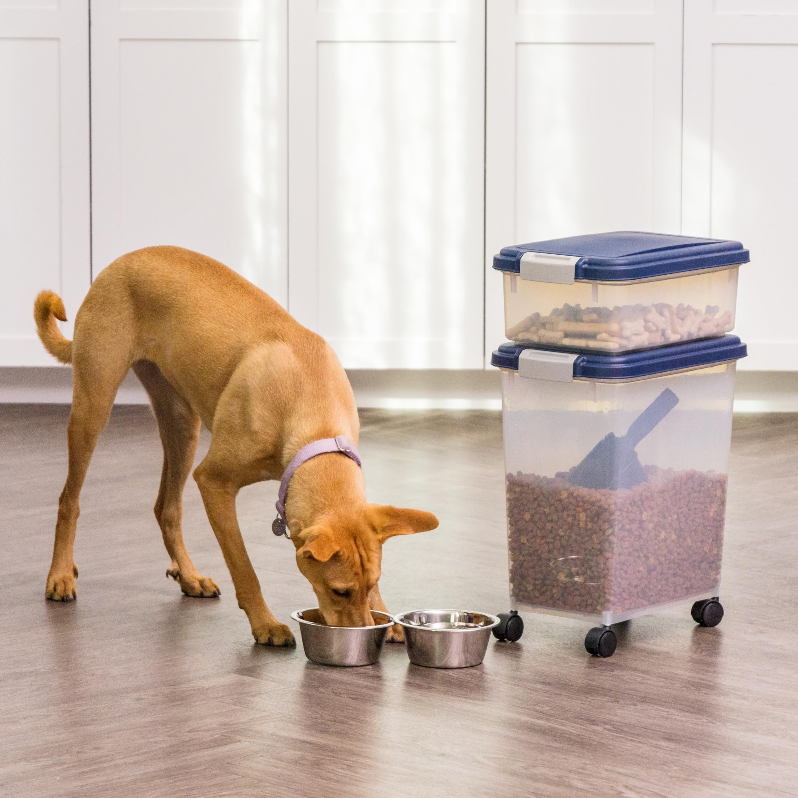 IRIS USA contenedor de 11 libras para comida de gatos, tapa hermética