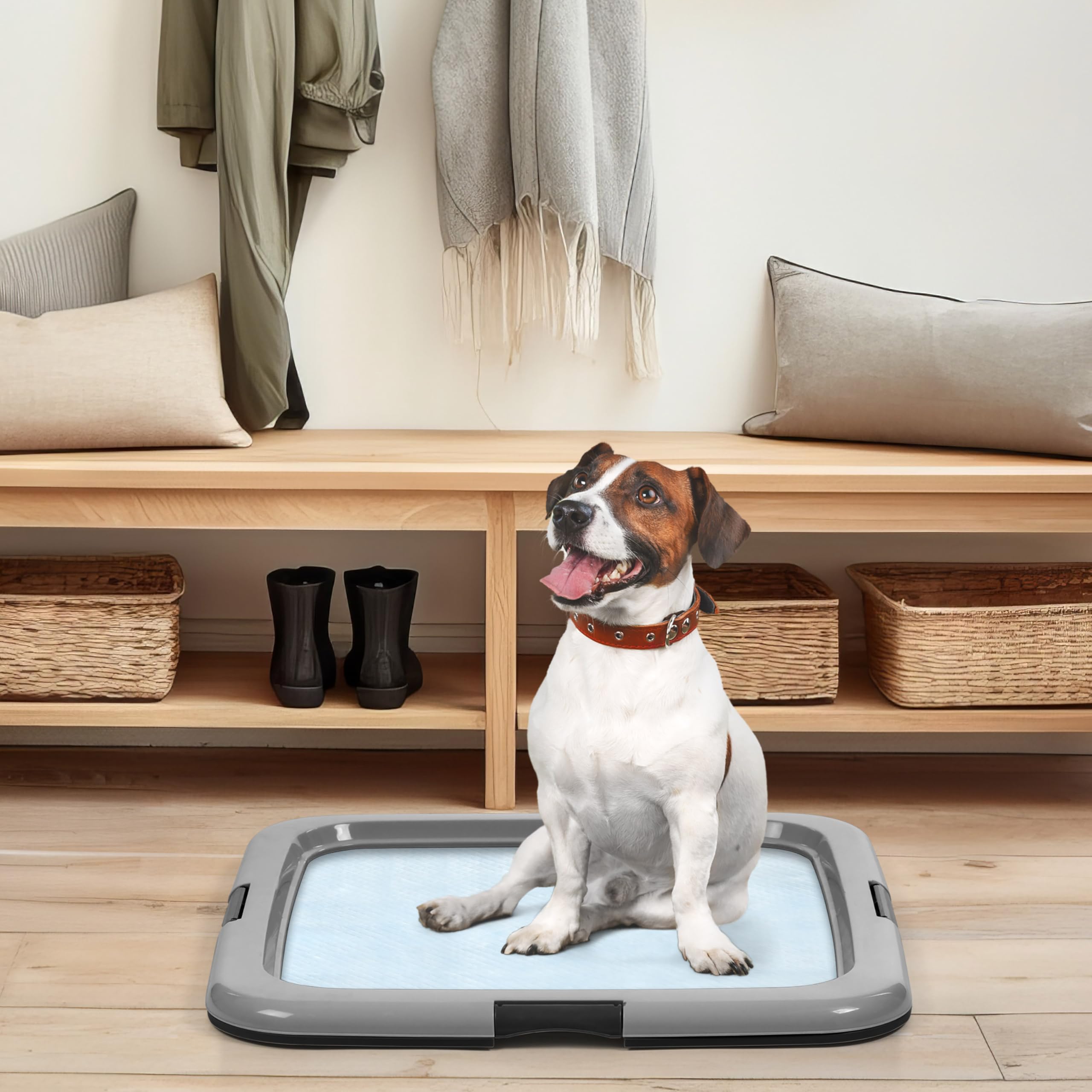 IRIS USA solución de entrenamiento confiable para hogares con varios perros