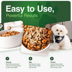 Iron Paws digestivo e inmunidad con probióticos para equilibrio intestinal
