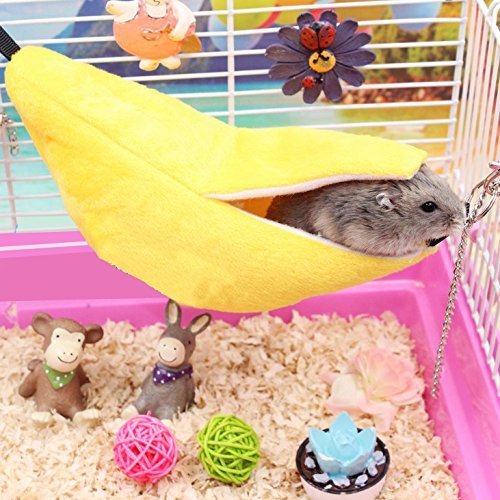 ISMARTEN diseño banano: aspecto divertido que anima a la mascota