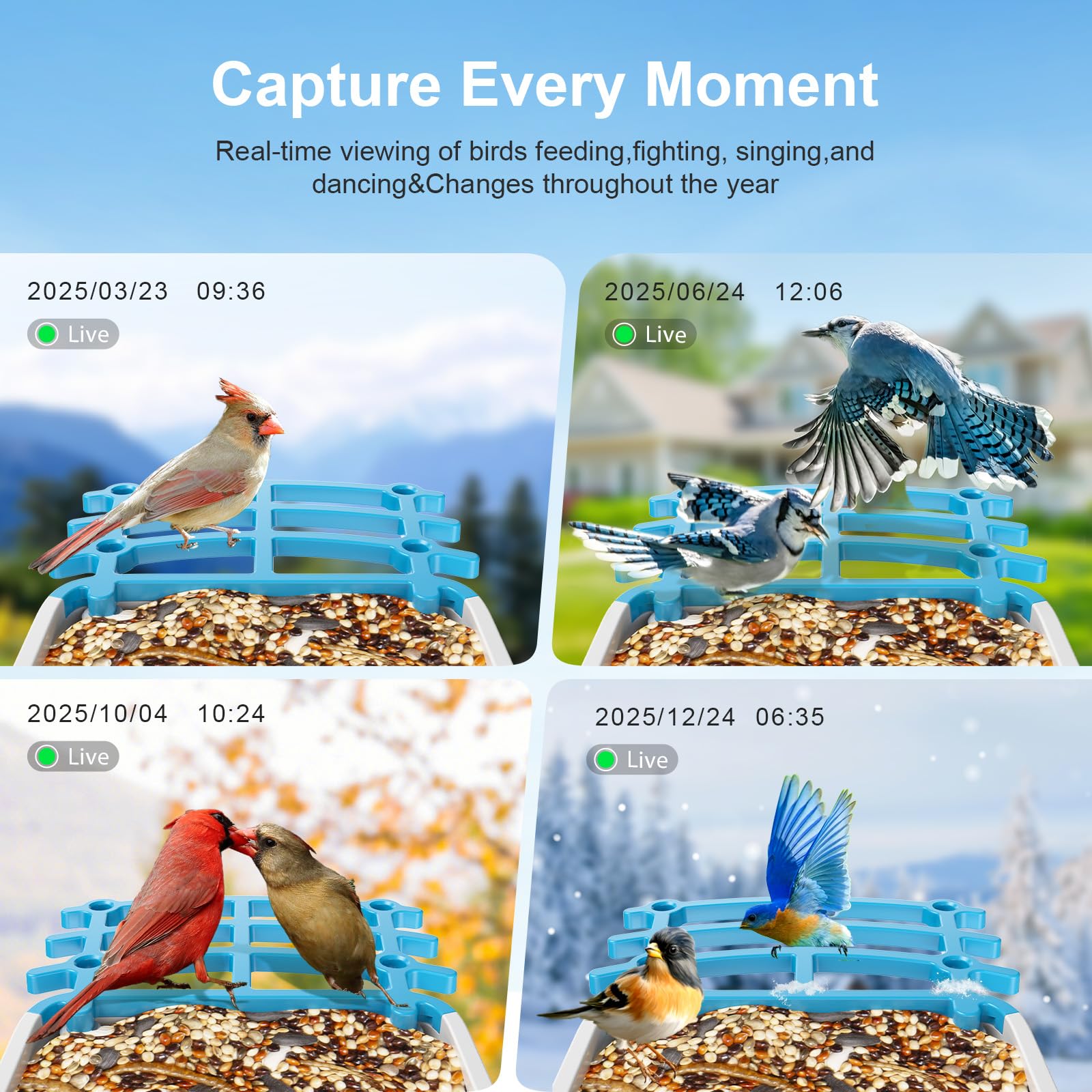isYoung notificaciones rápidas en la app para visitas de aves
