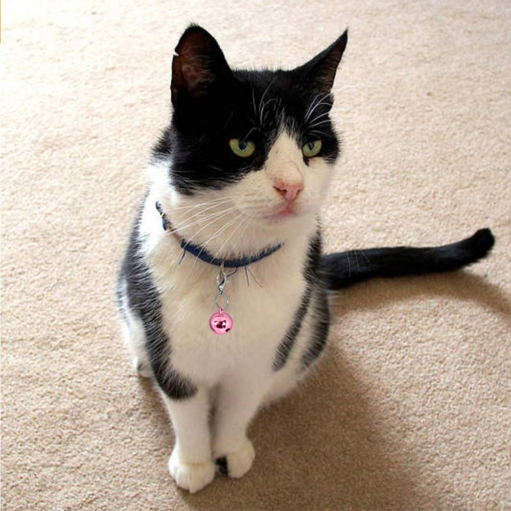IVIA PET4 empaque con 4 campanitas y 2 clips para collar rosa