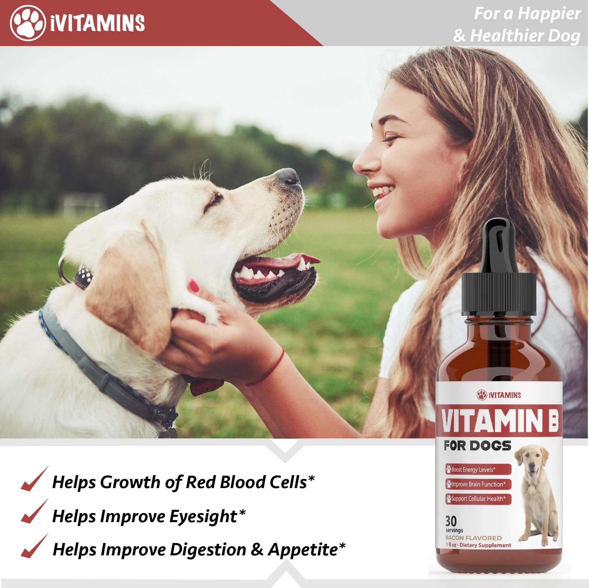 Dosis diaria de vitamina B para perros, salud celular y aporte.