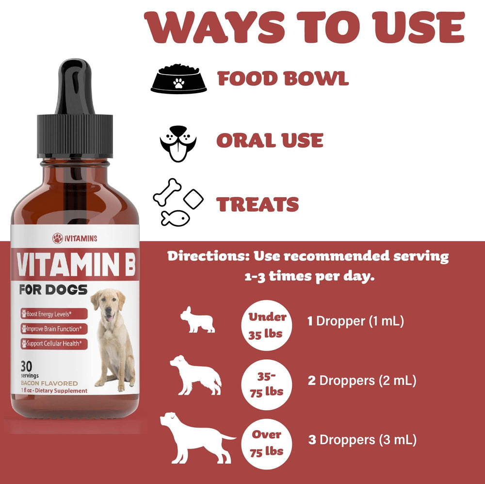 Perro recibiendo gotas de vitamina B sabor tocino durante la rutina.