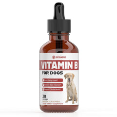 iVitamins Vitamina B para perros en gotas sabor tocino, energía diaria.