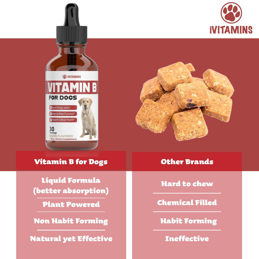 Frasco de gotas de vitamina B para perros, sabor tocino.