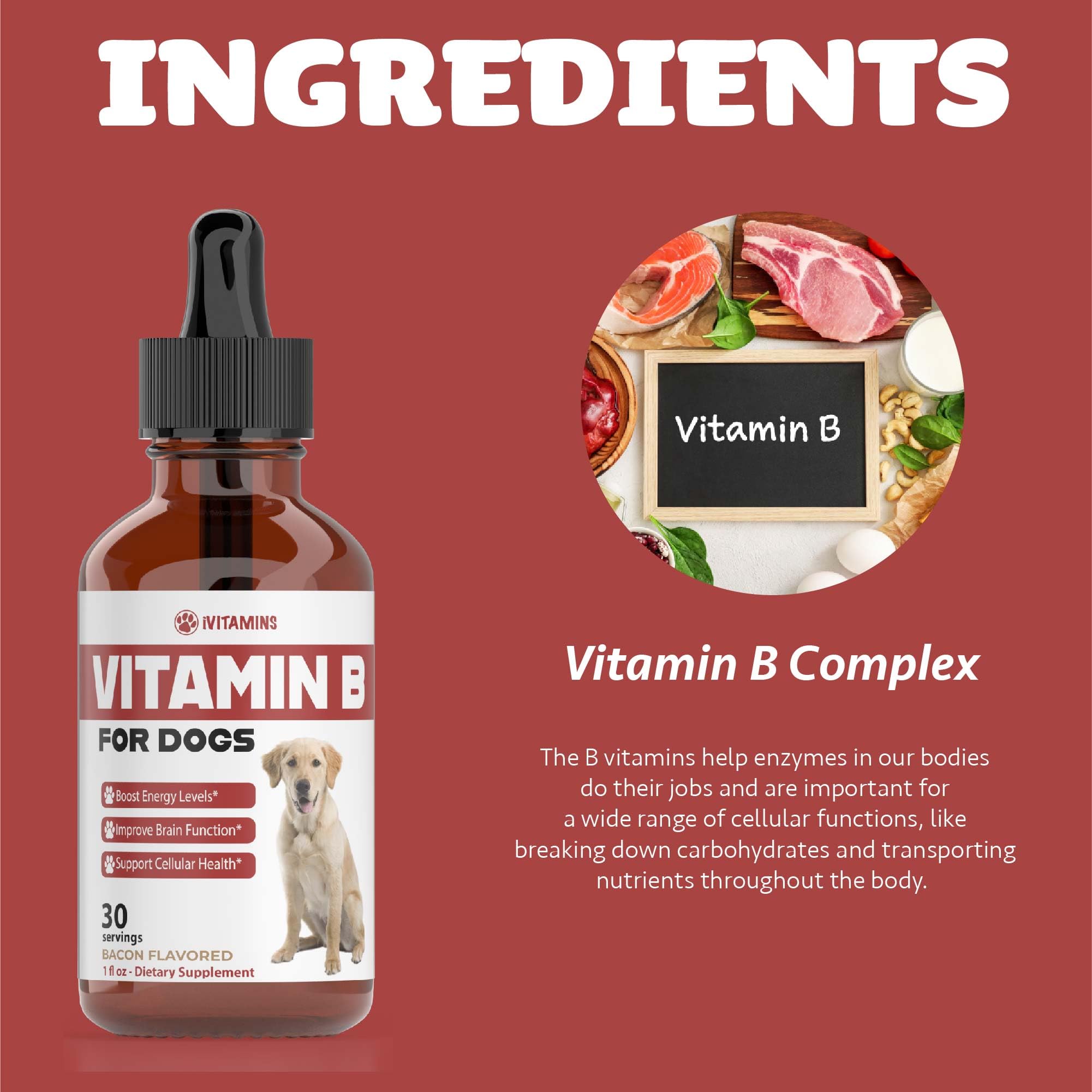 iVitamins Vitamina B para perros de todas las razas y tamaños.