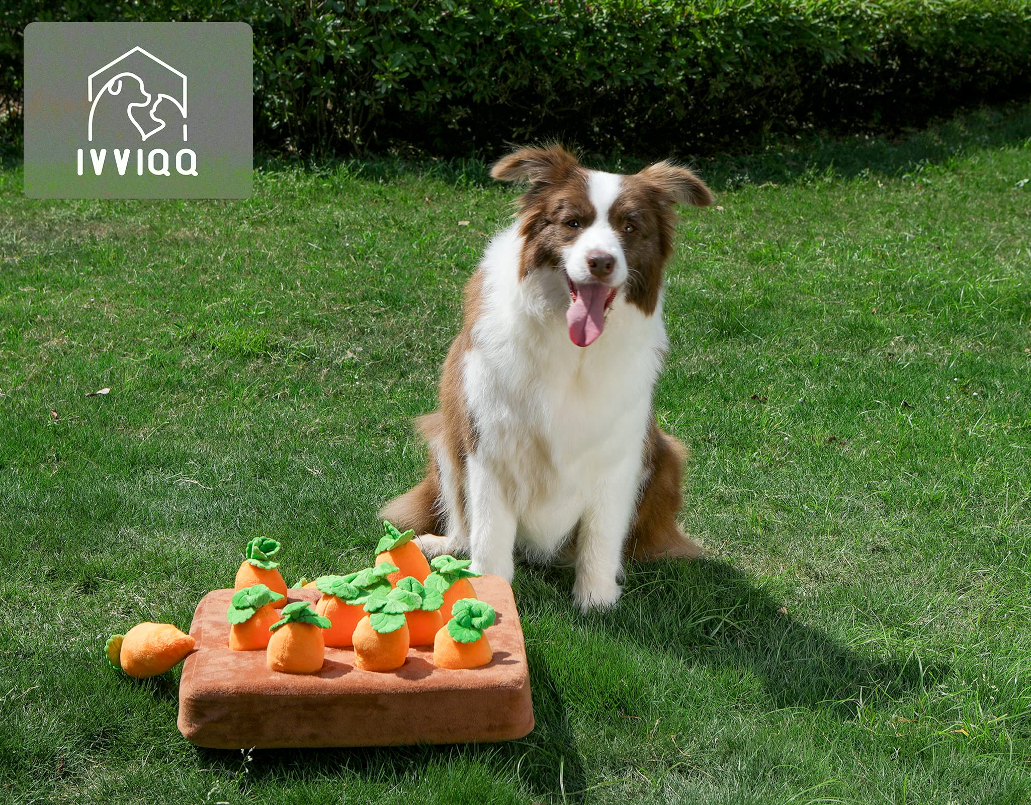 IVVIQQ Juguete con 12 zanahorias, entretenimiento interactivo