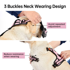 CINTURON RETRACTIL IVY&LANE para perro rosa; sujeción adaptable
