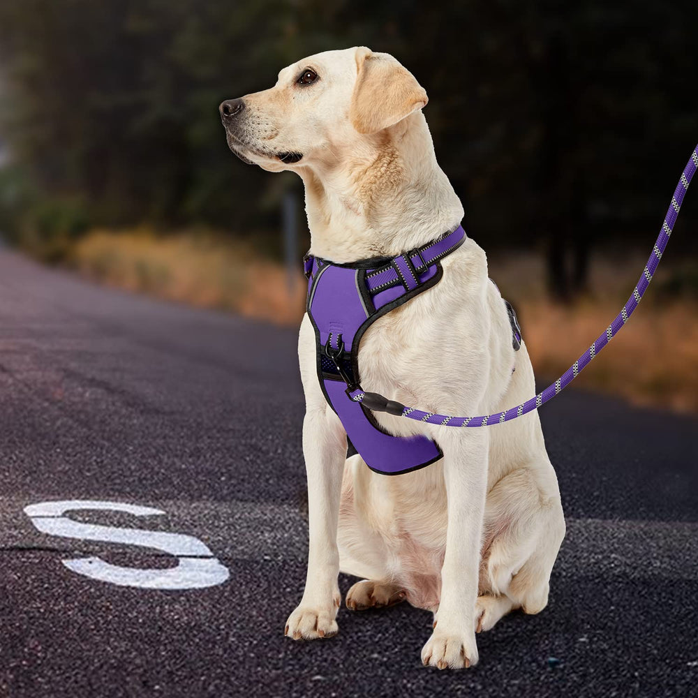 IVY&LANE mango suave para sujetar y guiar al perro.