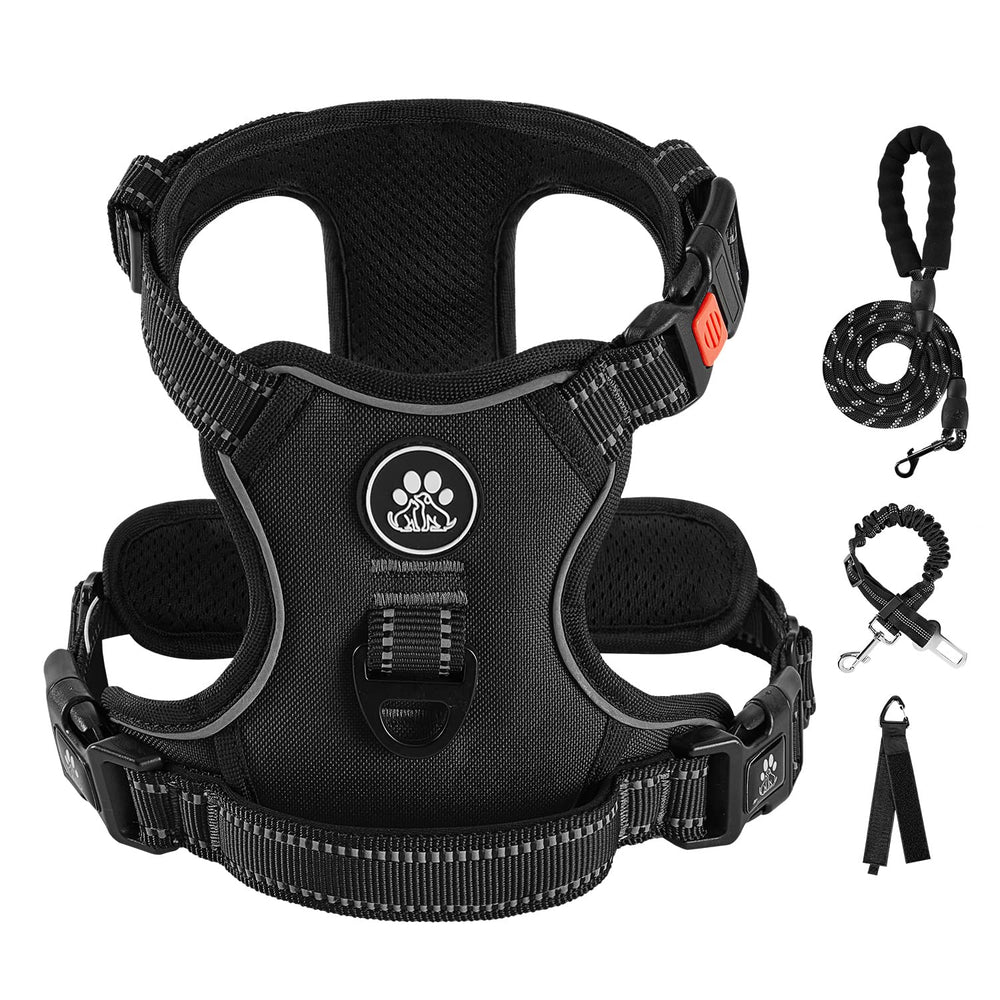 Arnés IVY&LANE para perro mediano, vista frontal con ajuste cómodo y seguridad