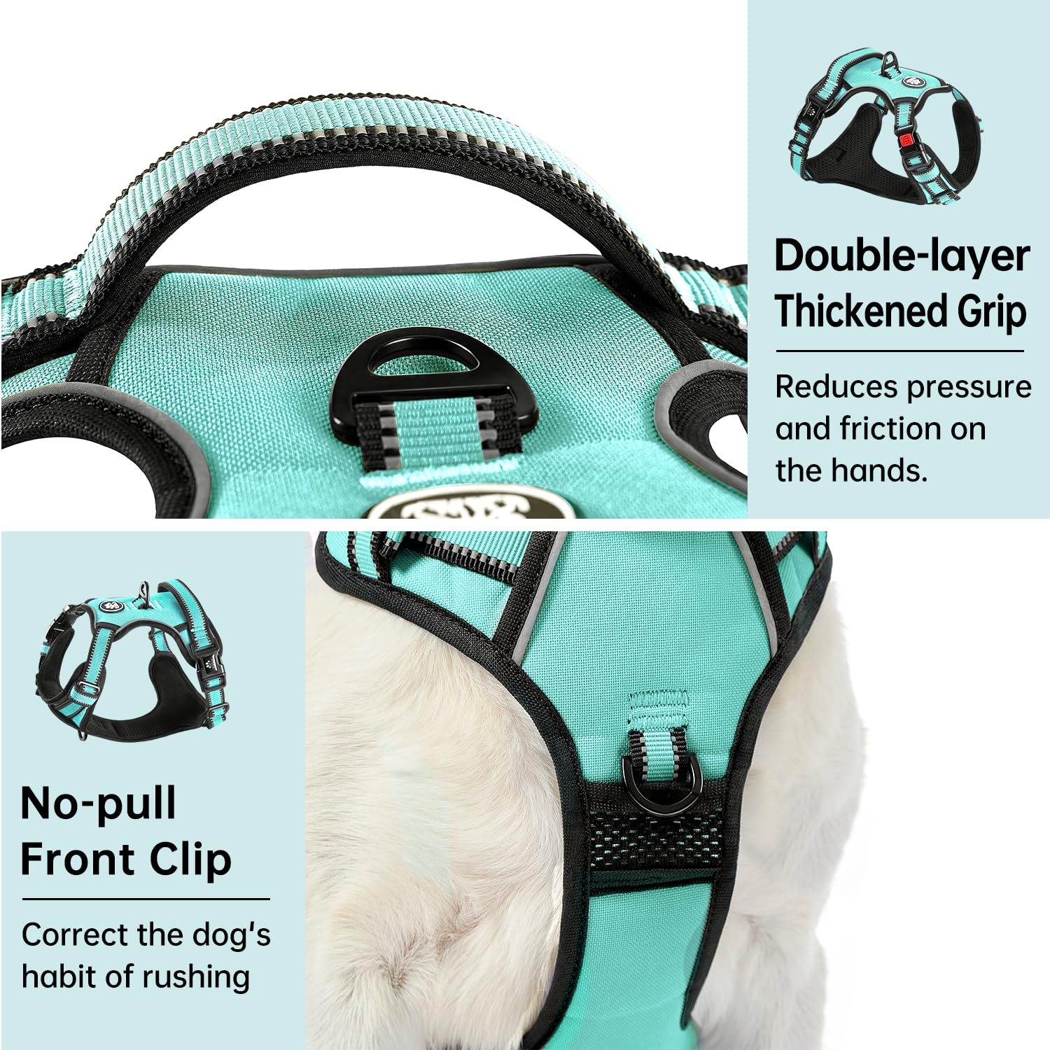 IVY&LANE clips frontales y traseros de aleación para mayor seguridad