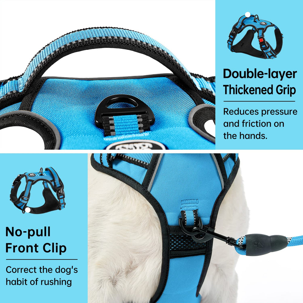 IVY&LANE detalles reflectantes 360° para visibilidad nocturna.