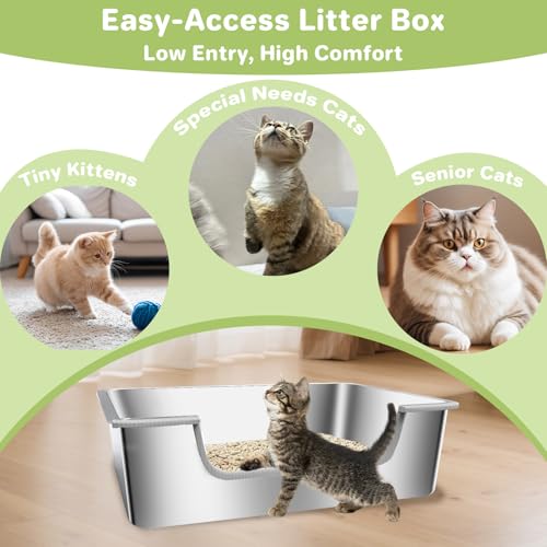 Ixaro caja de arena con entrada baja para gatos senior, cómodo y seguro.