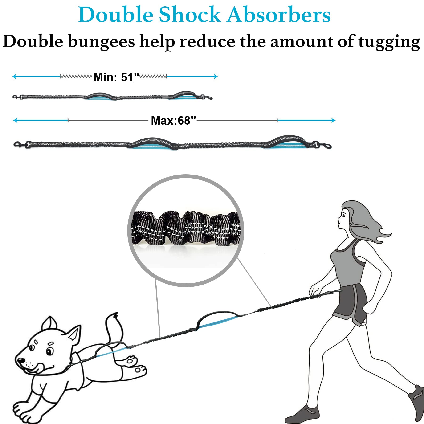 iYoShop Doble Resorte: soporte para perros de hasta 150 libras.