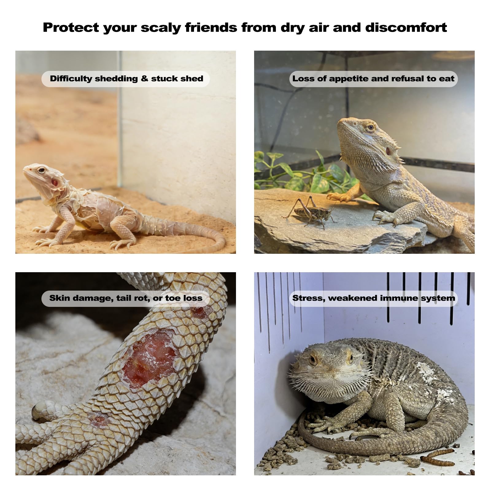 J&A Reptile Mister: ajustes de temperatura y humedad para hábitats estables