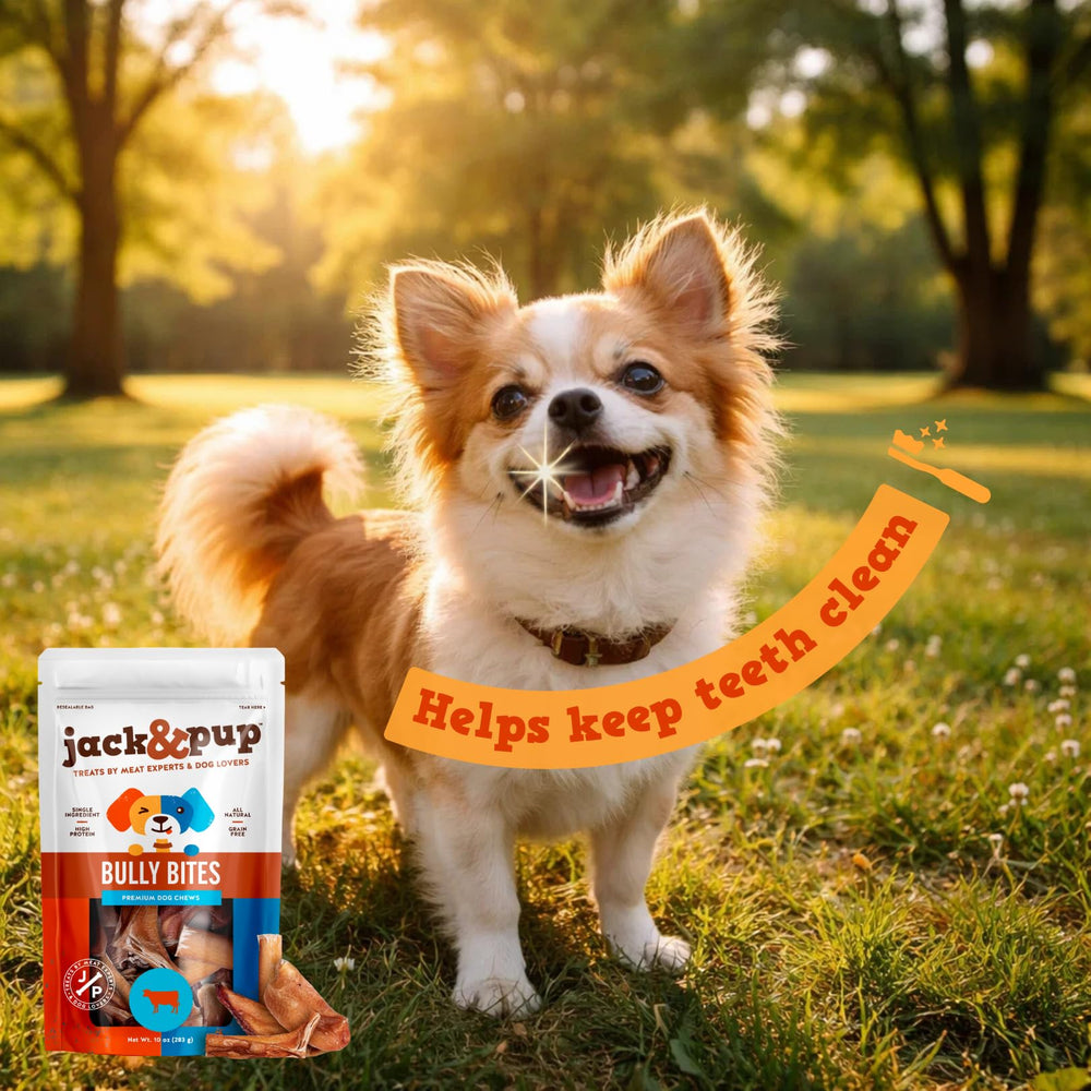 Jack&Pup Bully Bites: opción de premio sabrosa para adiestramiento