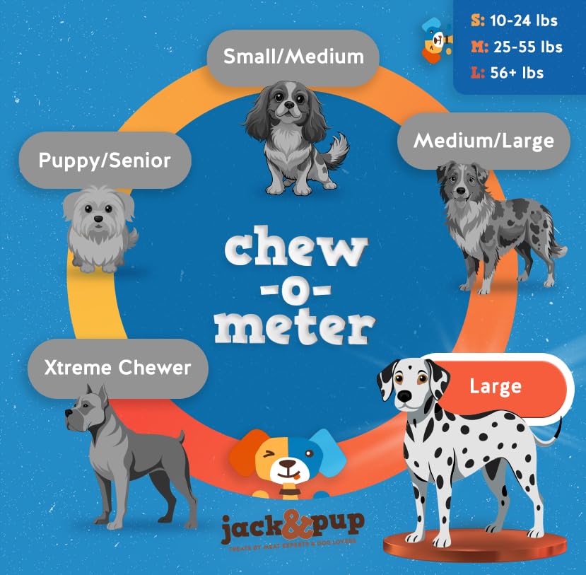 Jack&Pup Huesos Bully Jumbo de 6 pulgadas, ideal para estómagos sensibles.