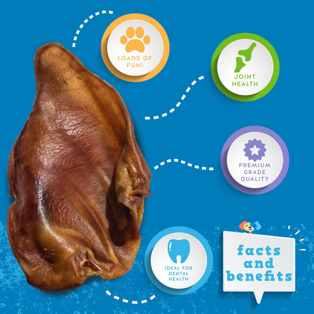 Jack&Pup ingrediente unico: orejas de puerco como snack natural sin aditivos.