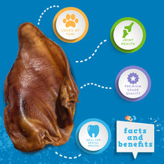 Jack&Pup ingrediente unico: orejas de puerco como snack natural sin aditivos.