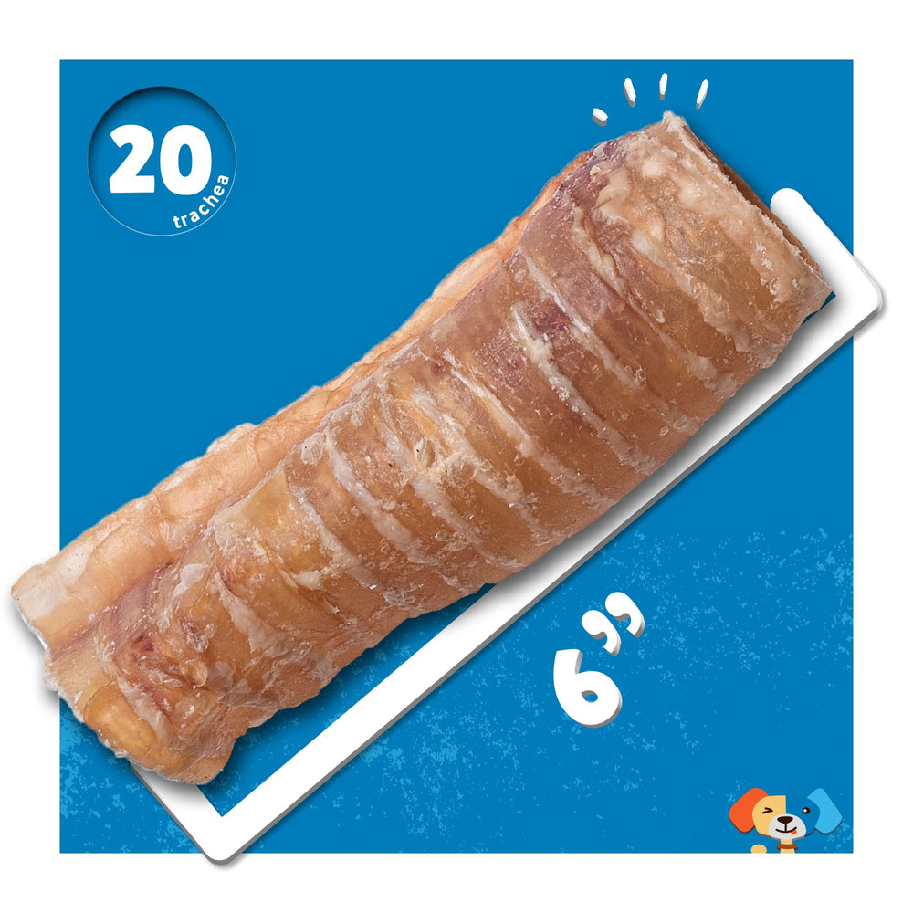 JackPup tráquea de res, ingrediente único sin aditivos.