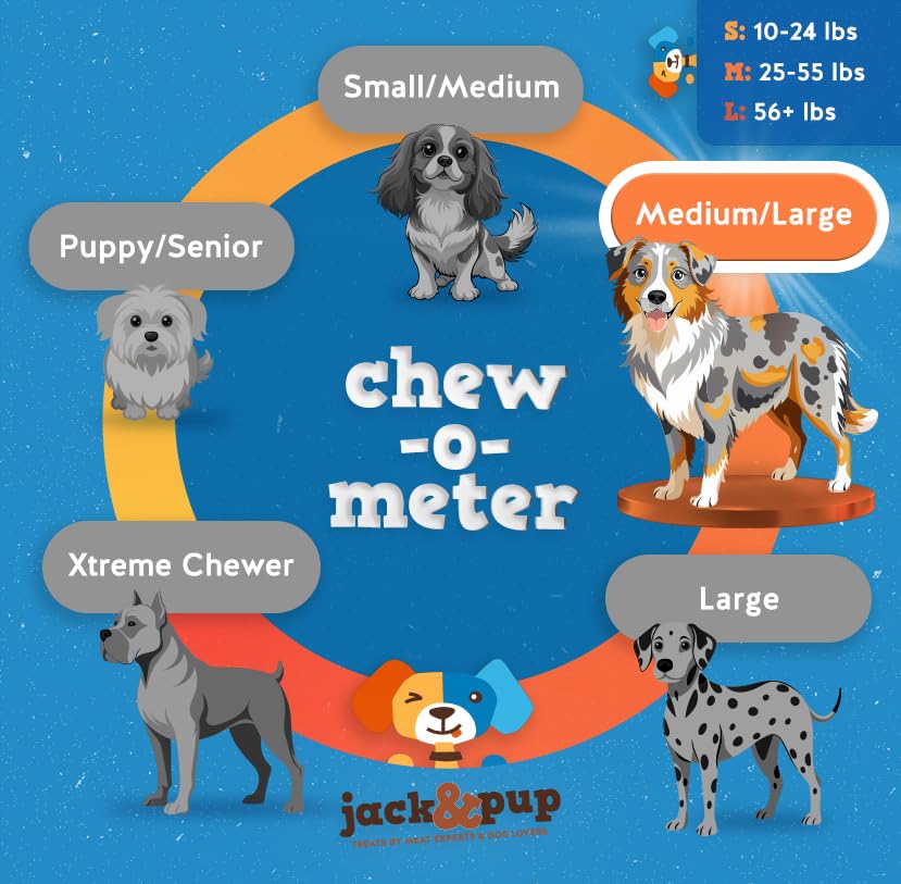 Jack&Pup uso: sesiones supervisadas de juego y masticación.
