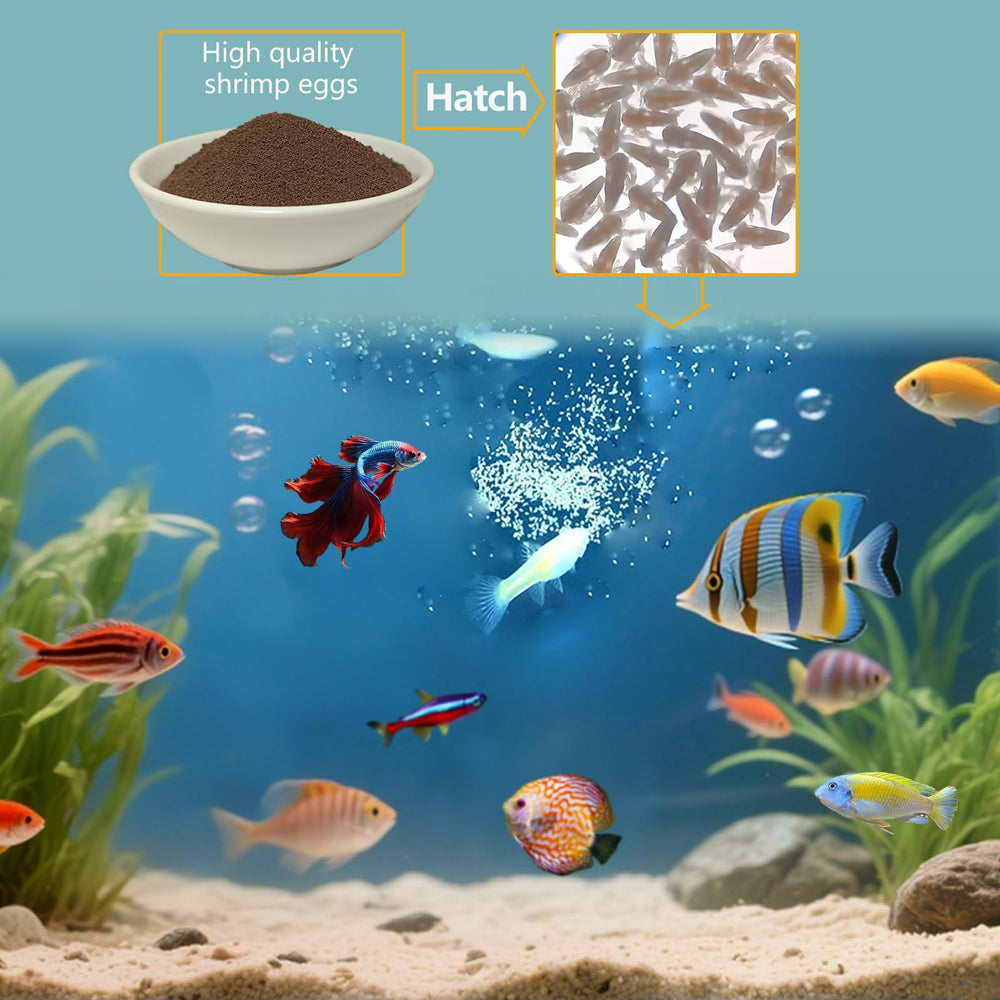 JADINGSFARM crías de acuario tropical se benefician de nutrición natural.