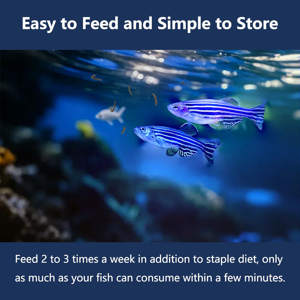 JADINGSFARM gusanos de sangre secos, aptos para betta, pez dorado y otros peces tropicales.