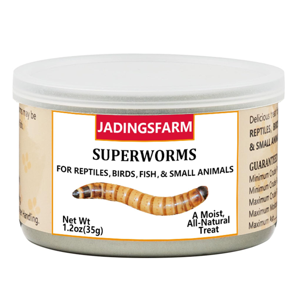 envase hermético de gusanos superworms de jadingsfarm para frescura.