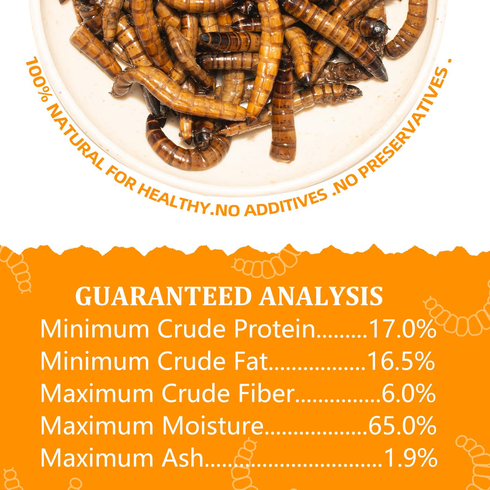 lata de 1.2 oz de gusanos superworms con cierre reutilizable.