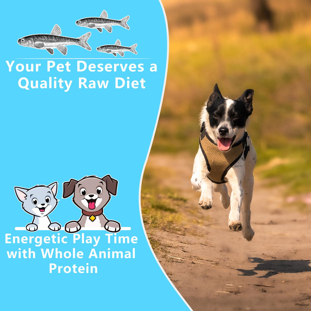 JADINGSFARM Minnows apto para perros y gatos como snack diario