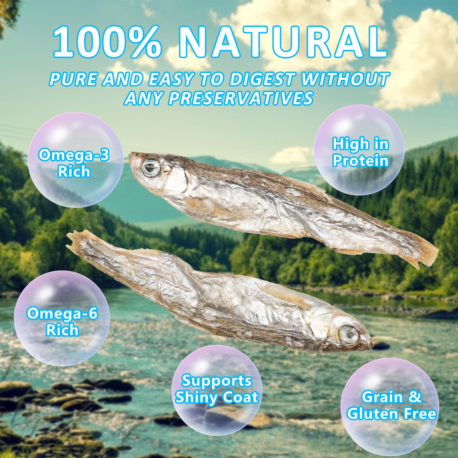 JADINGSFARM Minnows, ideal para almacenamiento práctico y pausas de alimentación.