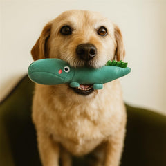 Jalousie juguete de cuerda para perros, perfecto para mordisqueo y ejercicio dental.