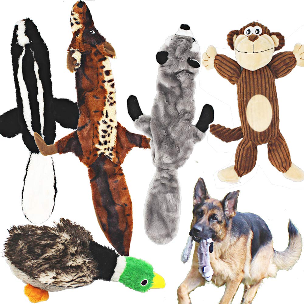 Jalousie paquete de cinco juguetes sonoros para perros para horas de juego