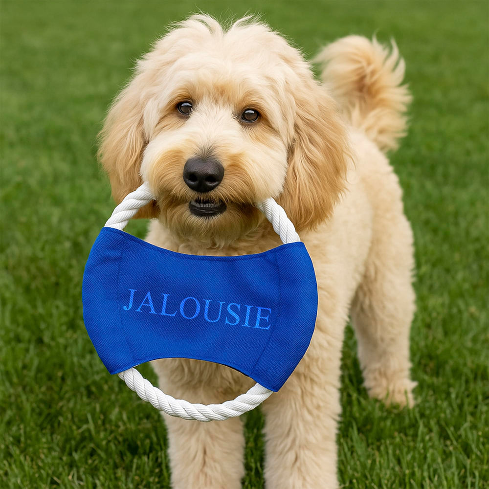 Jalousie: regalo perfecto para perros, 30 juguetes para diversión y estimulación.