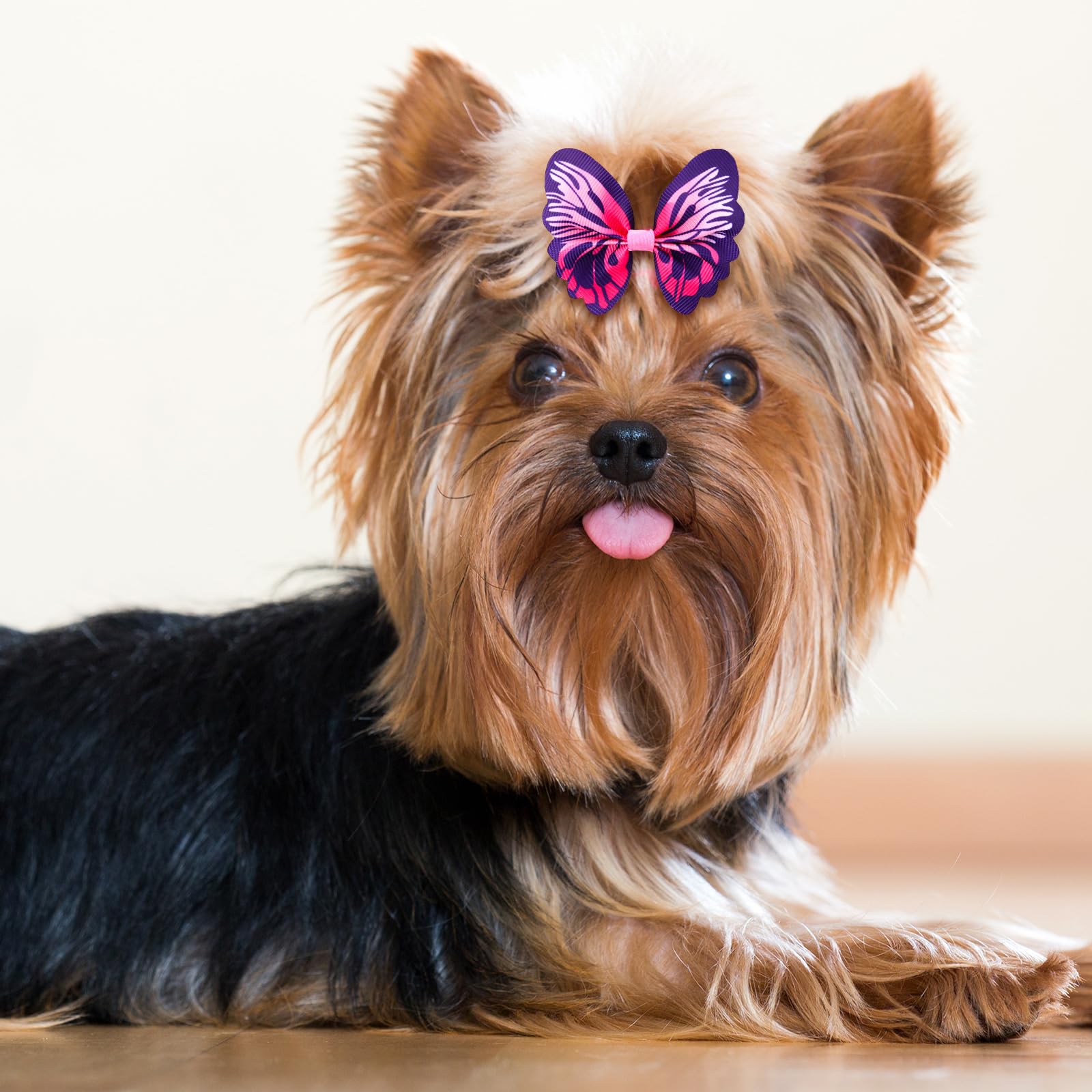 Lazos Janinka para eventos y cuidado de mascotas, estilo bonito para mascotas pequeñas