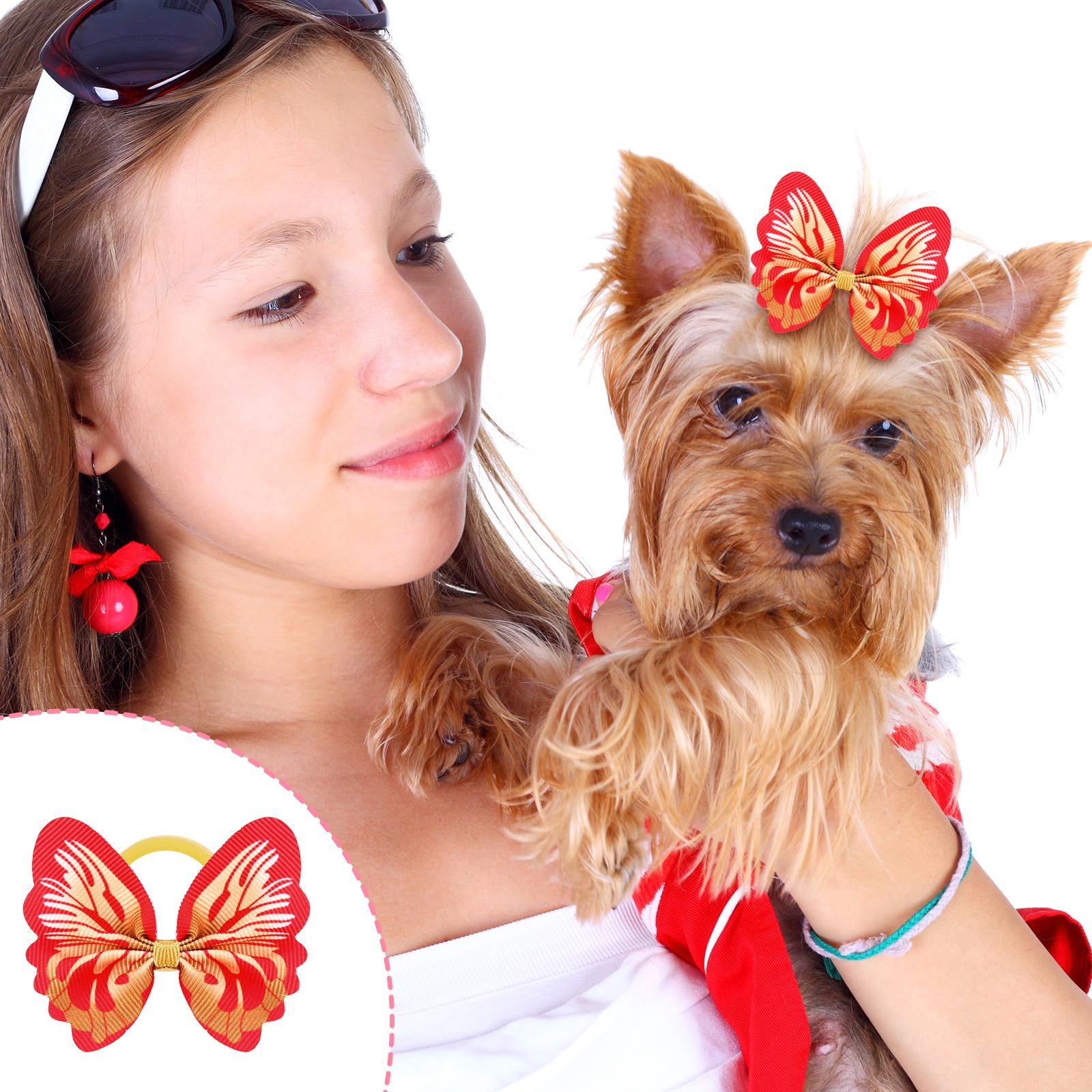 Lazo Janinka para sesiones de fotos de mascotas, colores vibrantes