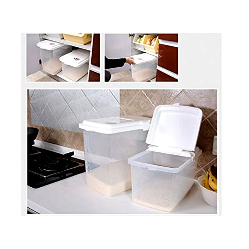 JapanBargain 1826 contenedor transparente para ver contenido sin abrir