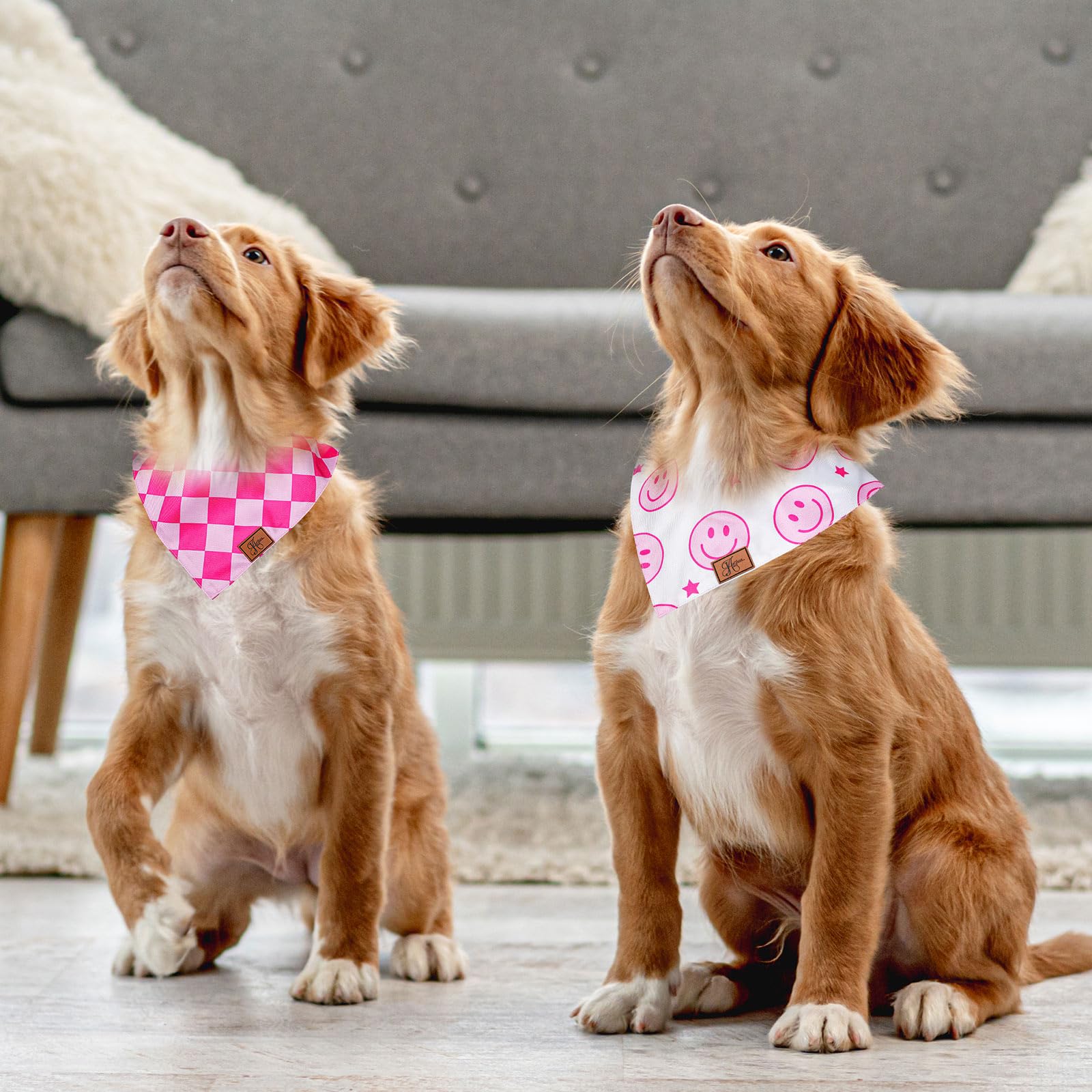 Bandana JarThenaAMCS para perro, ajuste mediano, cuello cómodo en diferentes tallas.
