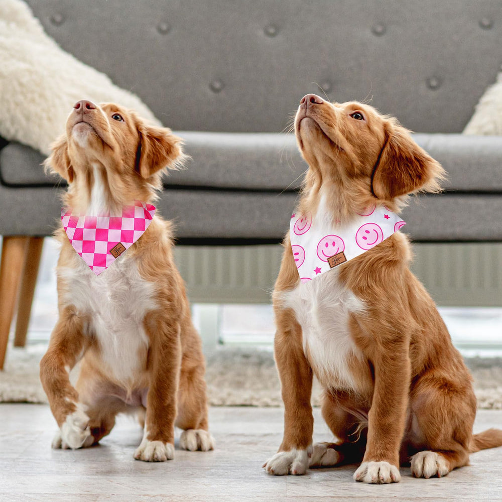 Bandana JarThenaAMCS para perro, ajuste mediano, cuello cómodo en diferentes tallas.