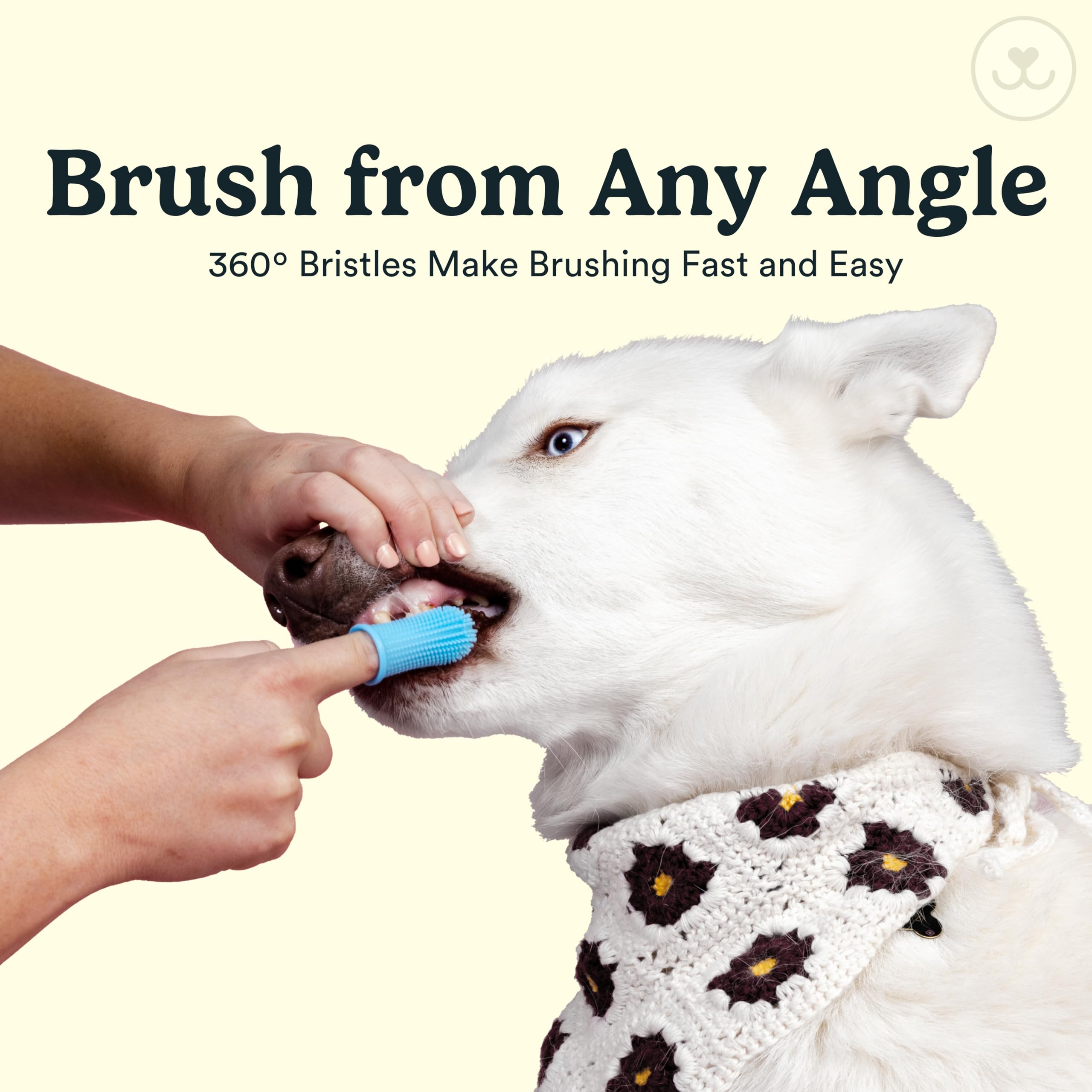 Jasper brosse-dents-chat-douce: douceur pour gencives sensibles félines.