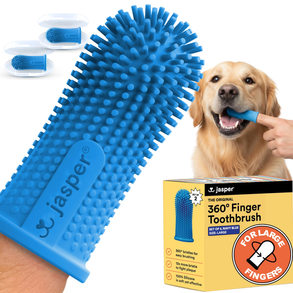 Jasper cepillo dedo grande para perros, cómodo y fácil de usar.