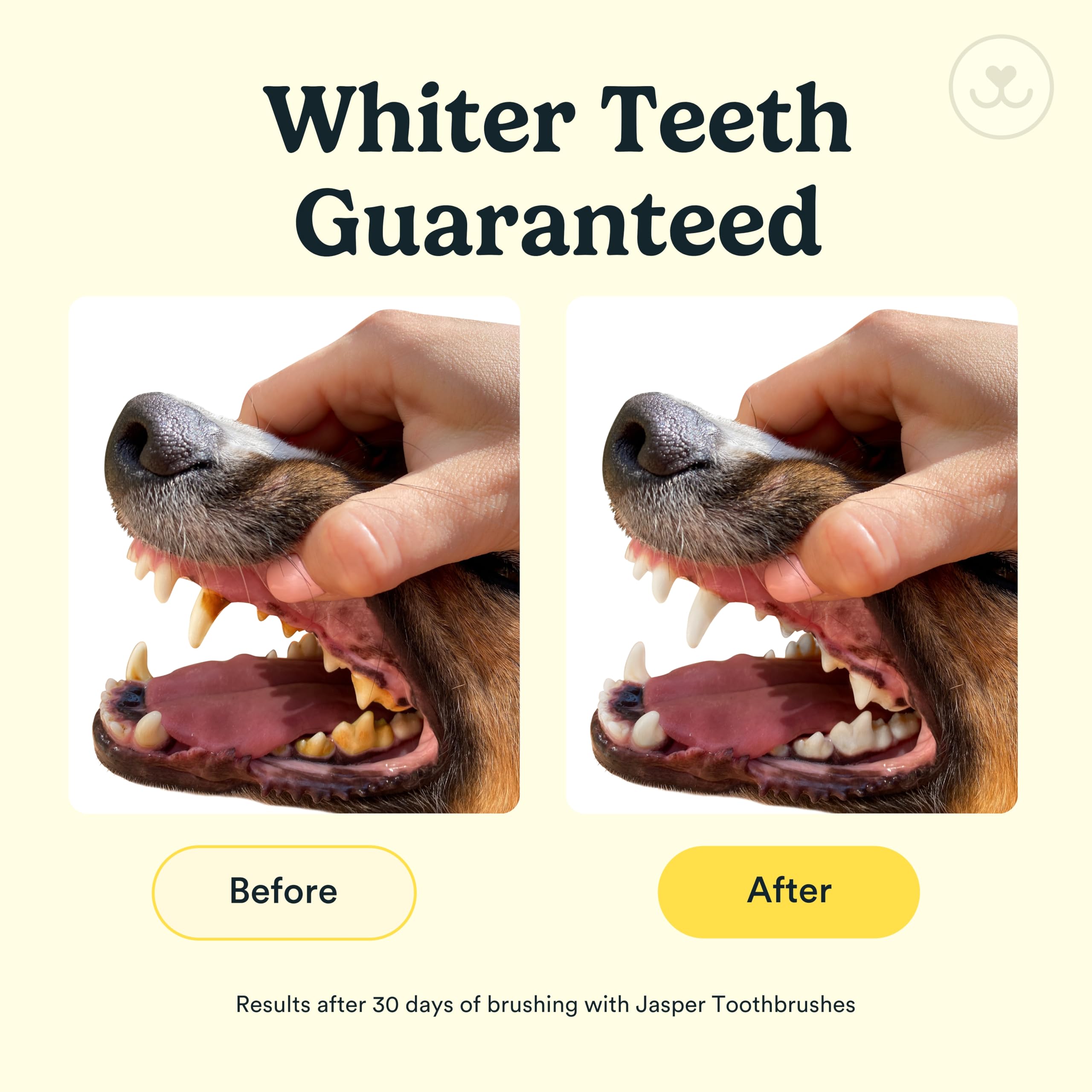 Jasper dedo-cepillo-dientes-perro permite limpieza precisa