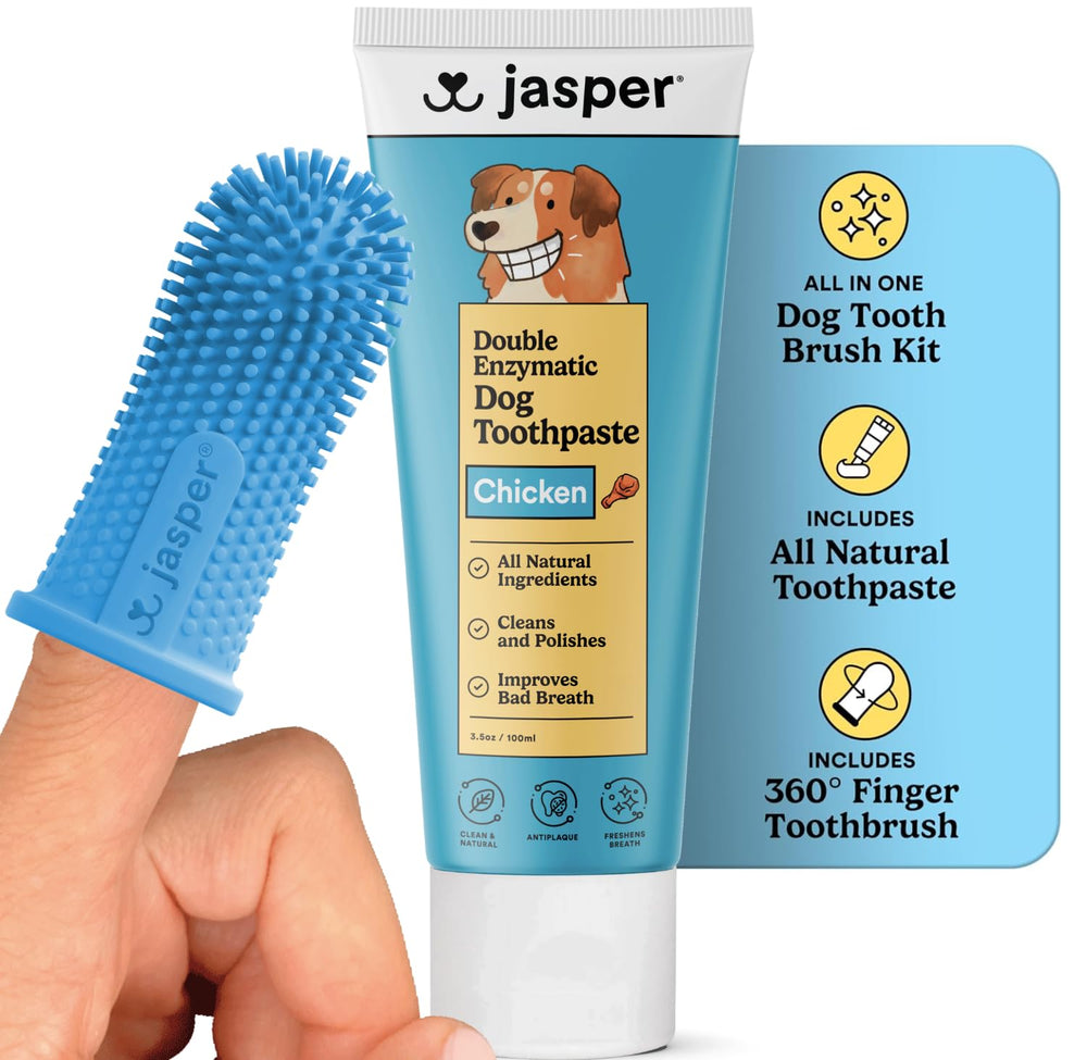 Kit Jasper de cepillado dental para perros, vista general del conjunto
