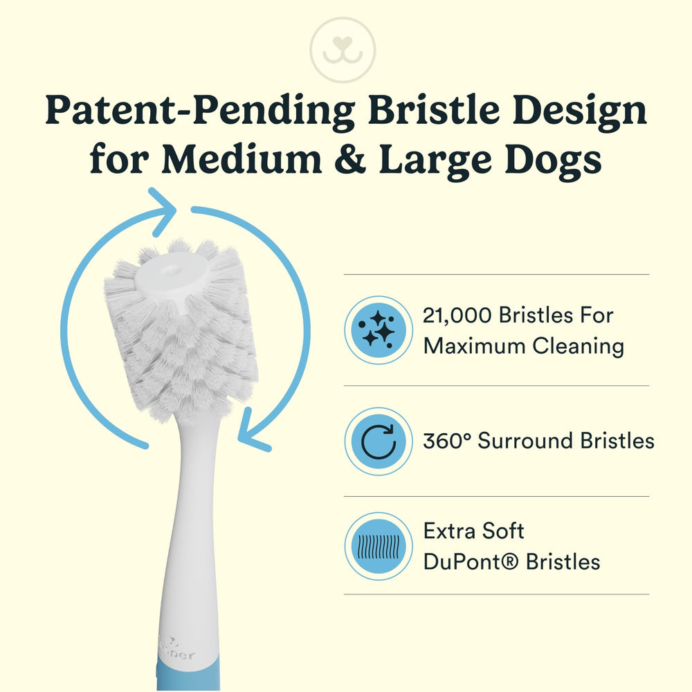 Jasper Macrobrush 360 cepillo para dientes de perros medianos y grandes.