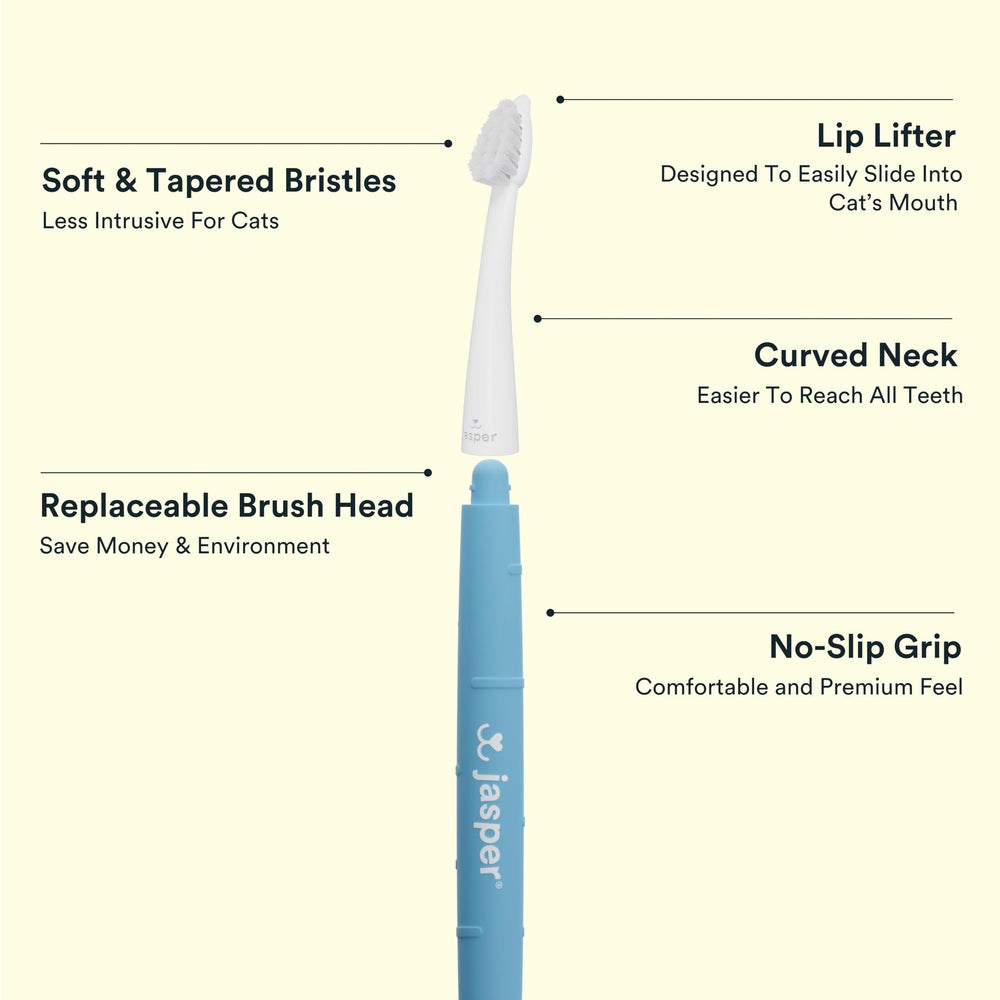 Jasper Microbrush cuello curvo para alcanzar dientes traseros