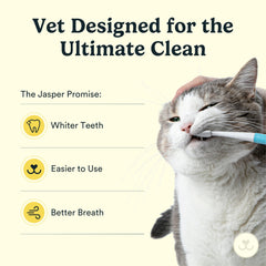 Jasper Microbrush elevador de labios facilita la inserción